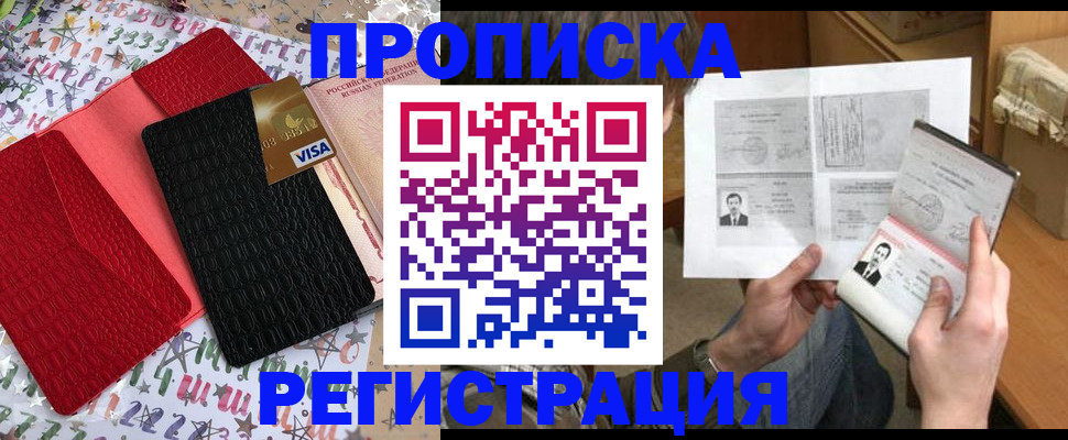 прописка поиск в Новосибирской области